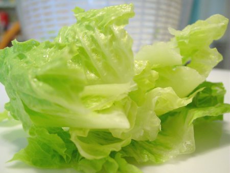 How to Wash Lettuce With and Without a Salad Spinner